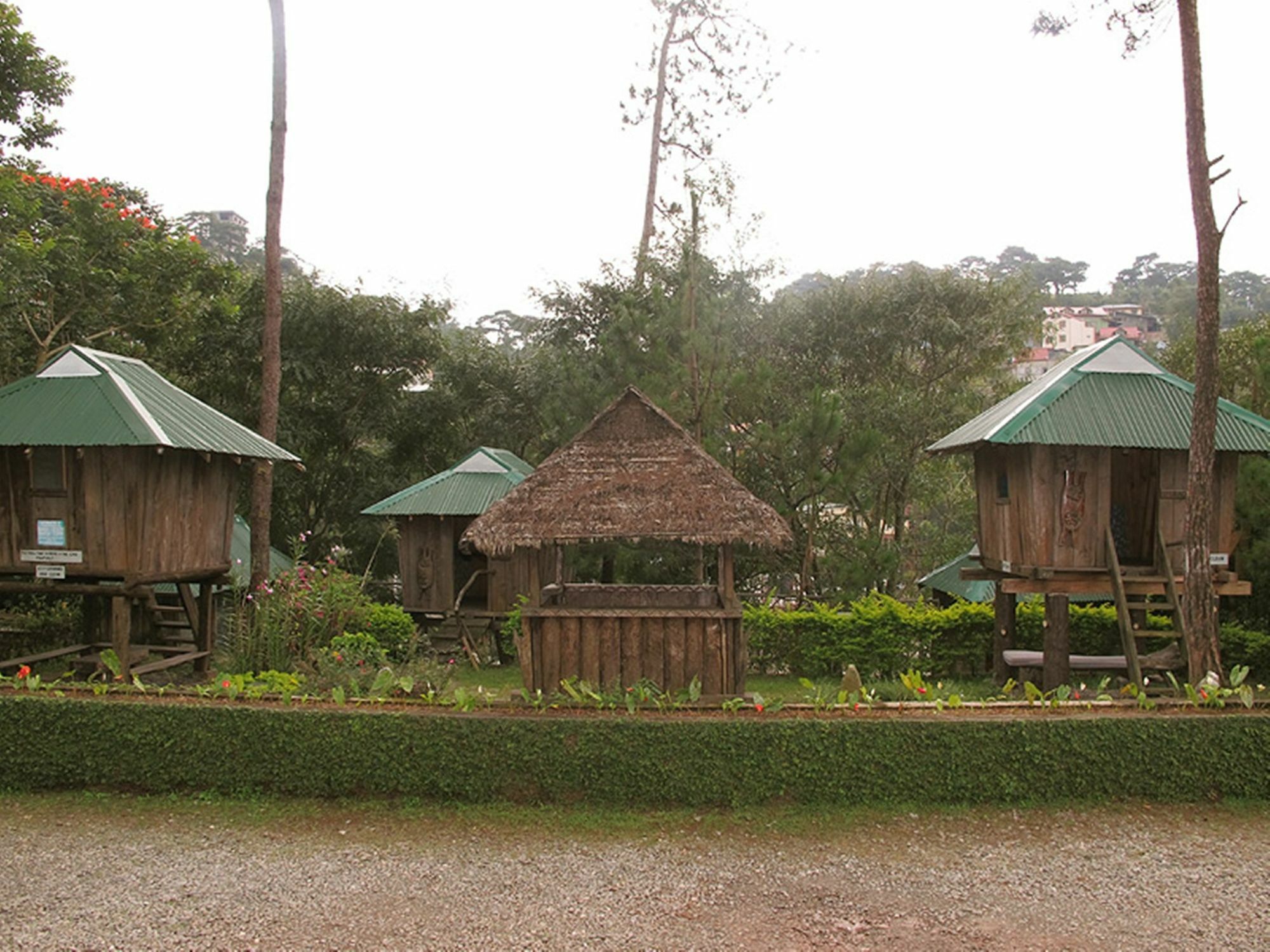 Pine Breeze Cottages Baguio City Exterior photo